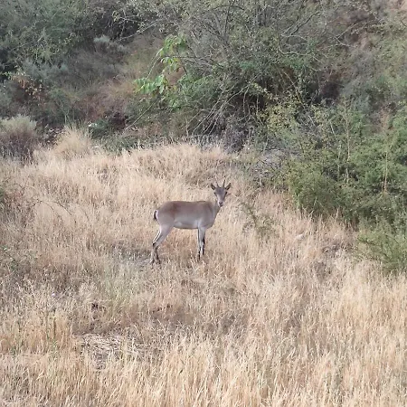 Holiday home Casa Moreno